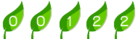 compteur pour site